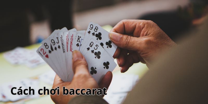 Quy trình nhập môn baccarat tại Go88 trực tuyến