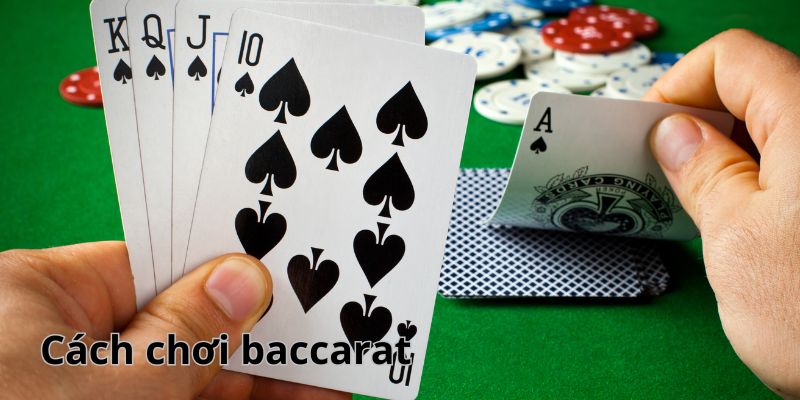 Cách chơi baccarat Go88 trực tuyến cho người mới nhập môn